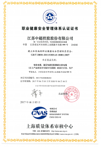 職業(yè)健康安全管理體系認(rèn)證證書(shū)
