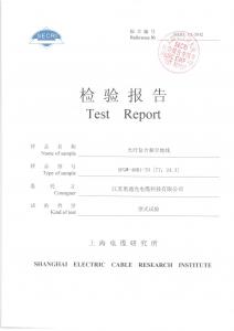 檢驗報告
